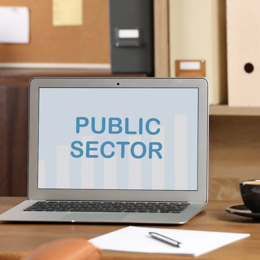 Public Sector