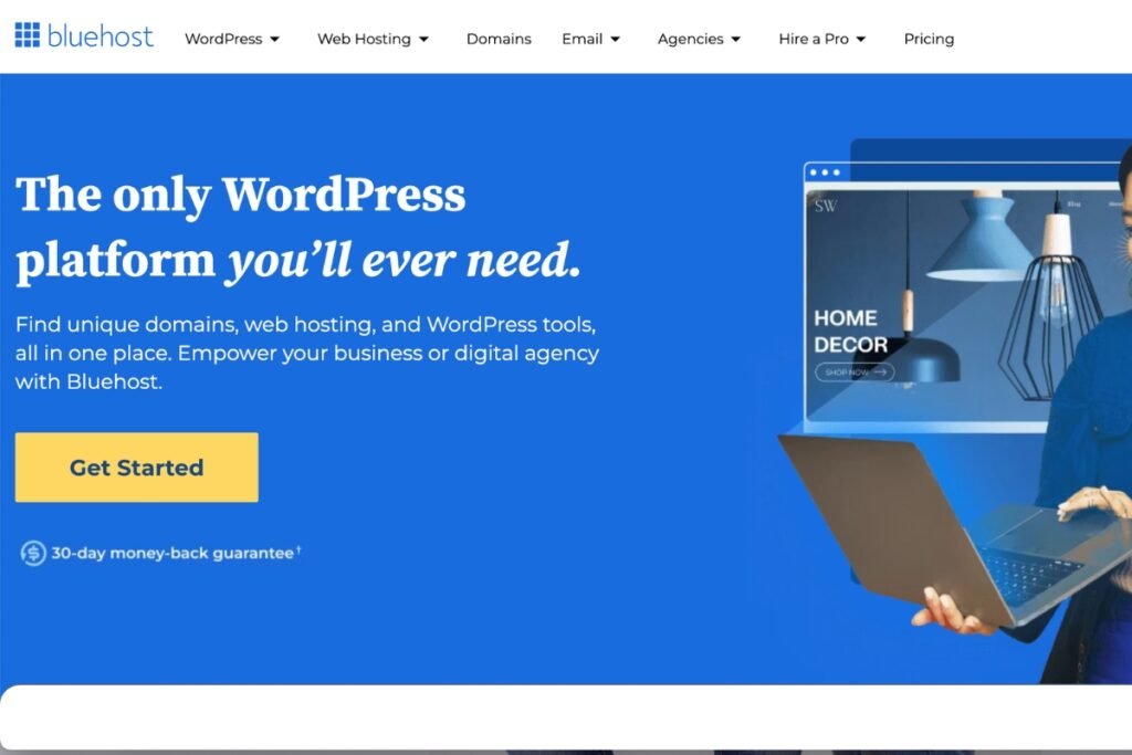 Wordpress Bluehost